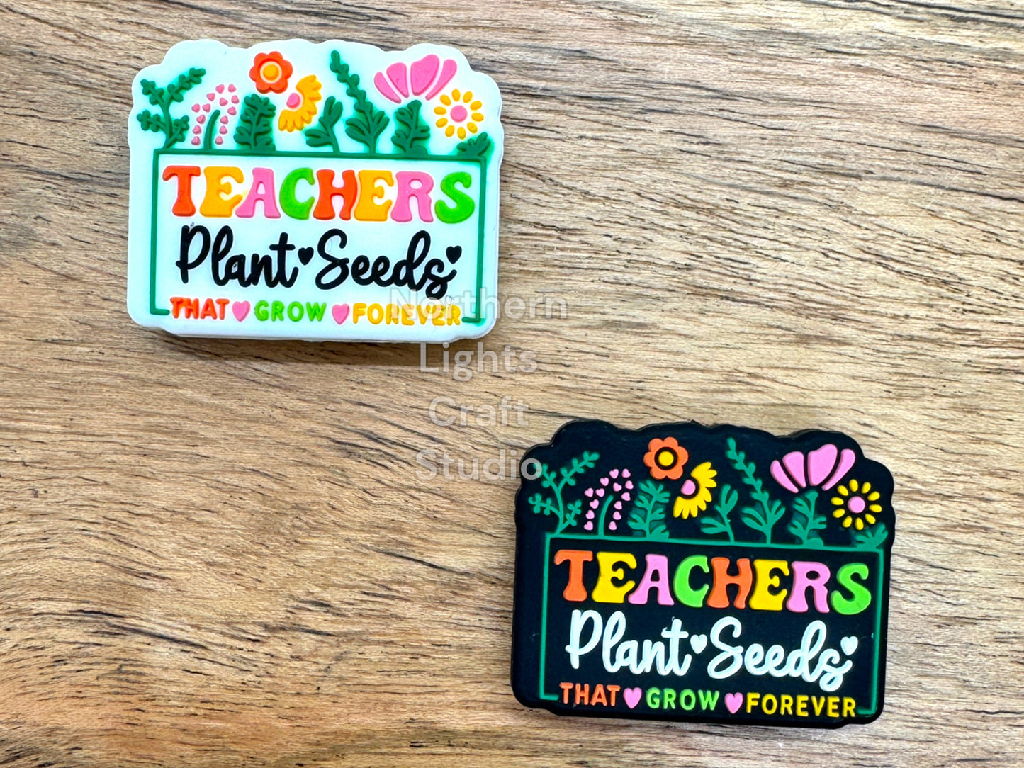 Teachers Plan Seeds That Grow Forever Silicone Focal Bead, Teacher Focal, Teacher Charm, New Release Focal